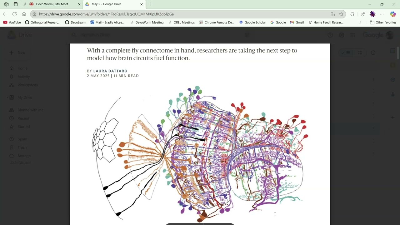 DevoWorm (2025, #17): Connectomic Models and the Phase Transitions of Cellular Evolution
