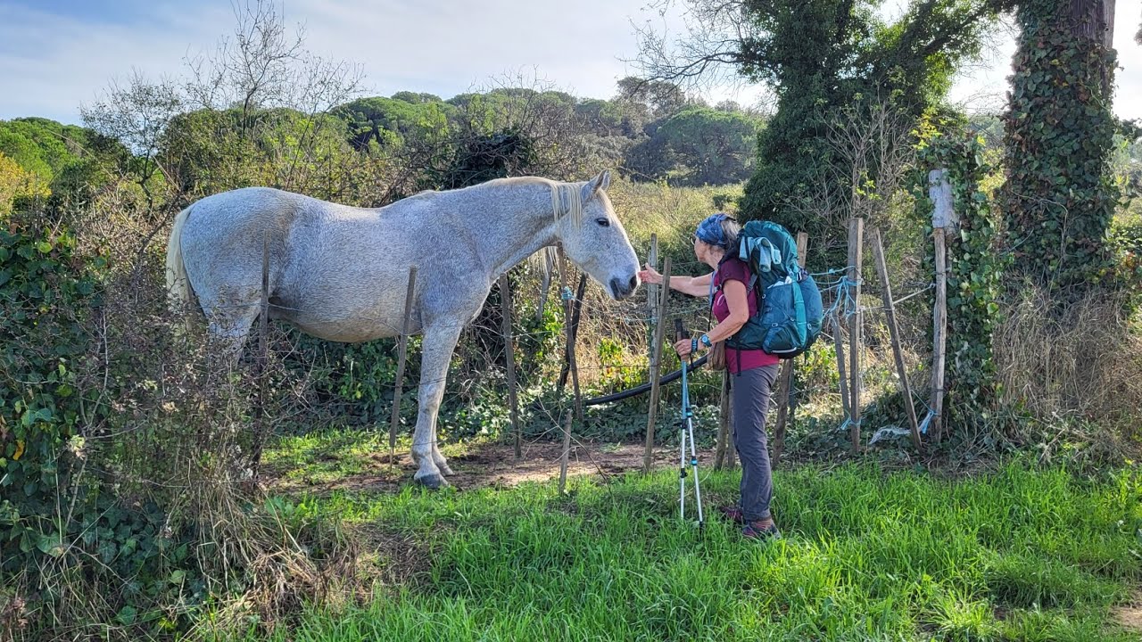 jour - 209 - de Gallargues le Monteux à  Saint Gilles - 25 kms