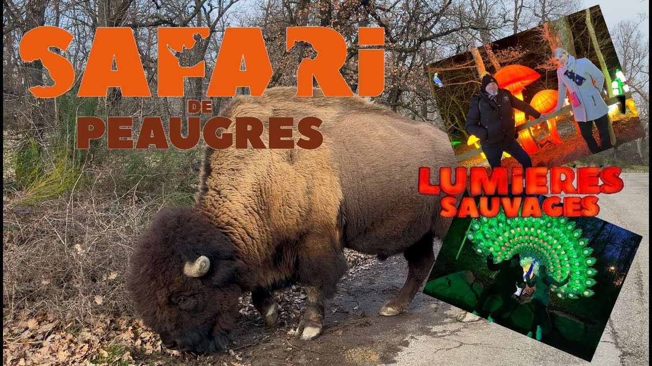 #2 Découverte du Safari de Peaugres 🦁🐘🦒🐺 + Lumières sauvages 🔆.