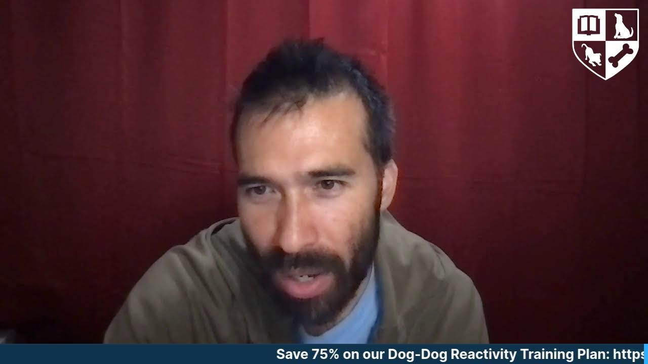 Resolving Dog-Dog Reactivity the Natural Way