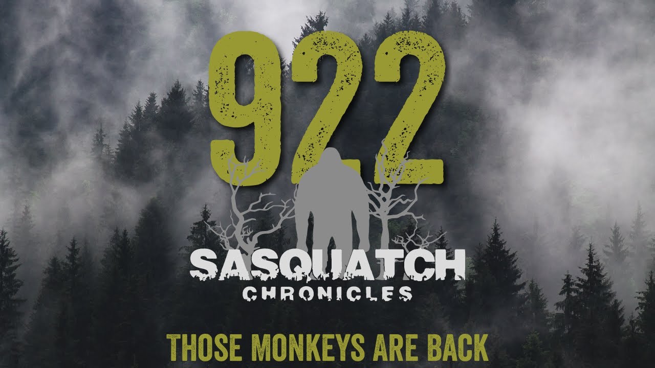 SC EP:922 Those Monkeys Are Back