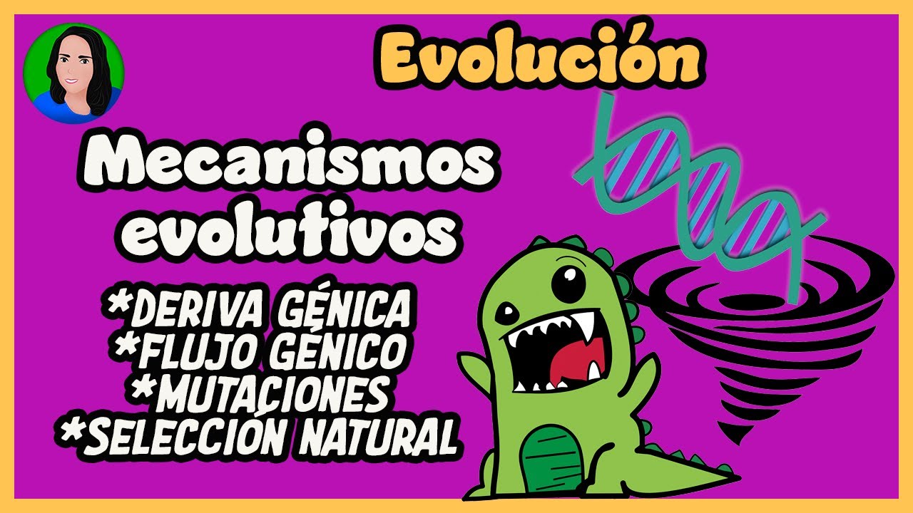 Mecanismos evolutivos:  deriva génica,  flujo génico, mutación y selección natural | Evolución |
