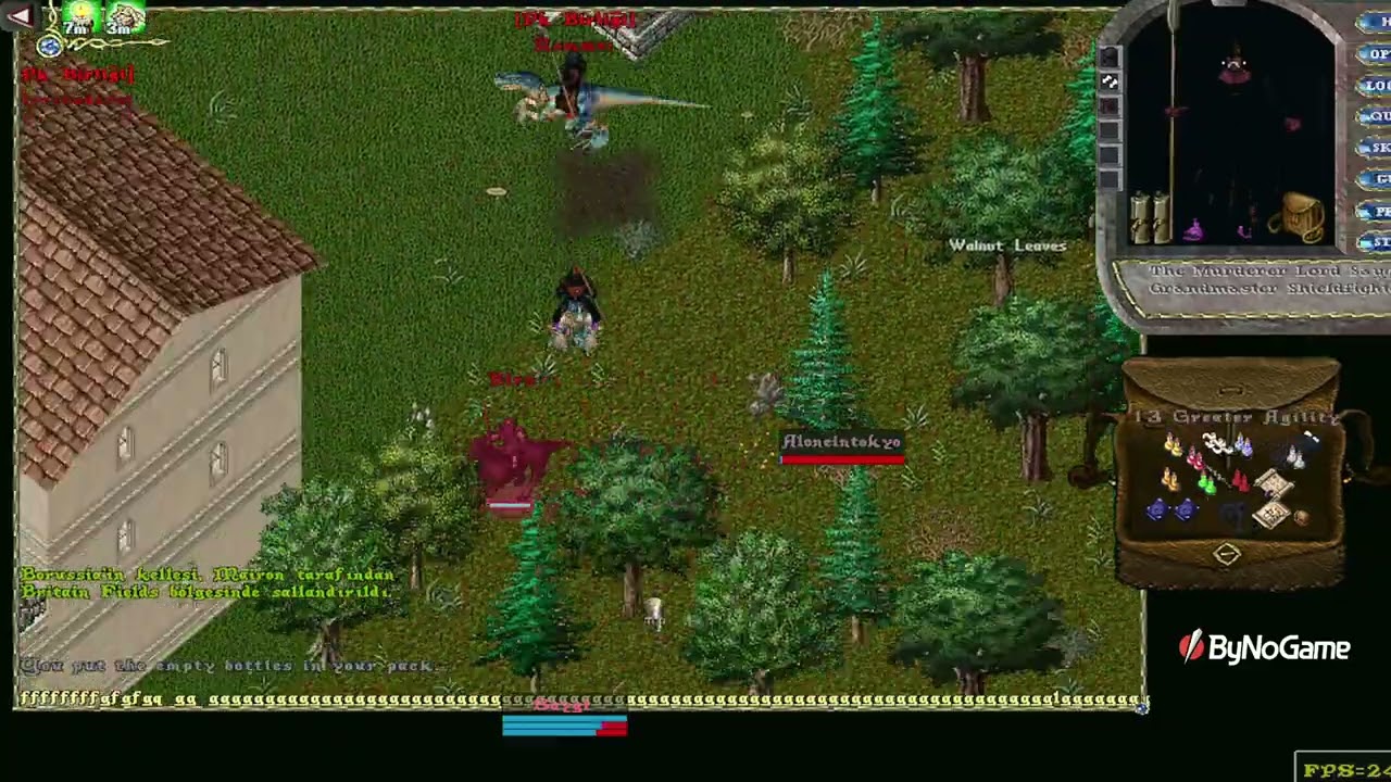 Kısa Videolar #1 Pyramid UO (Ultima Online)