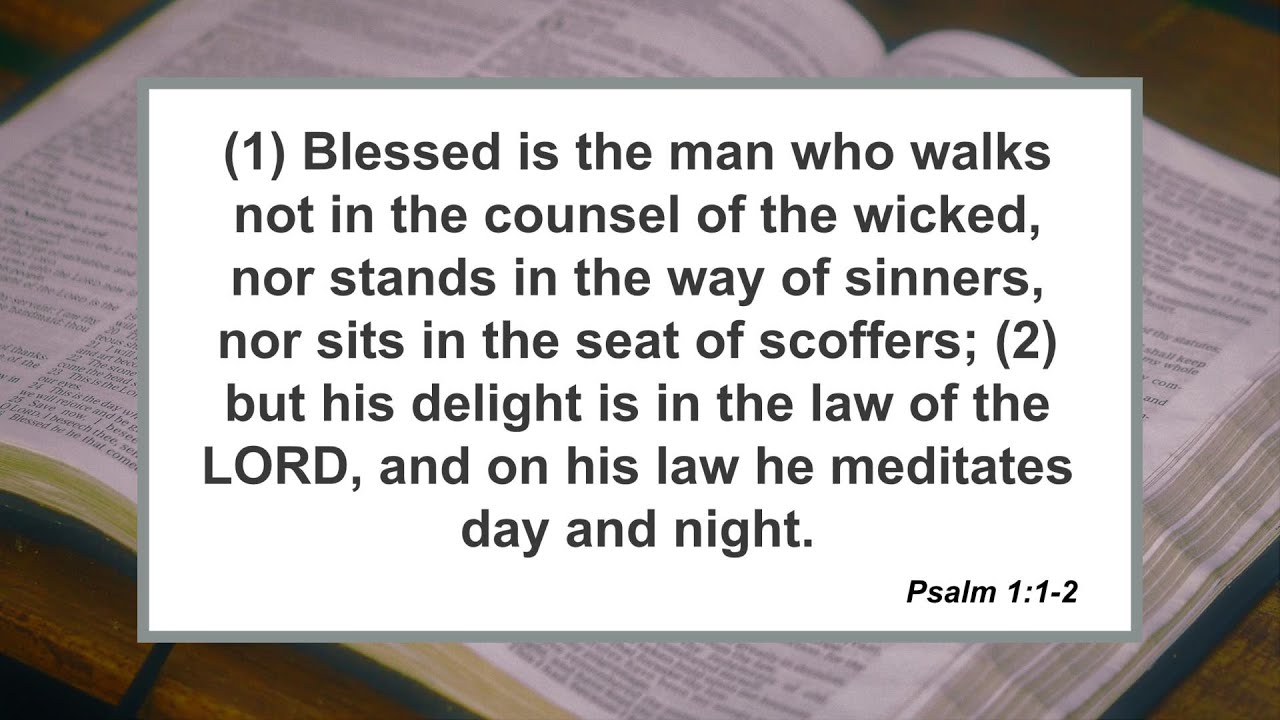 Evening Worship: Sermon 