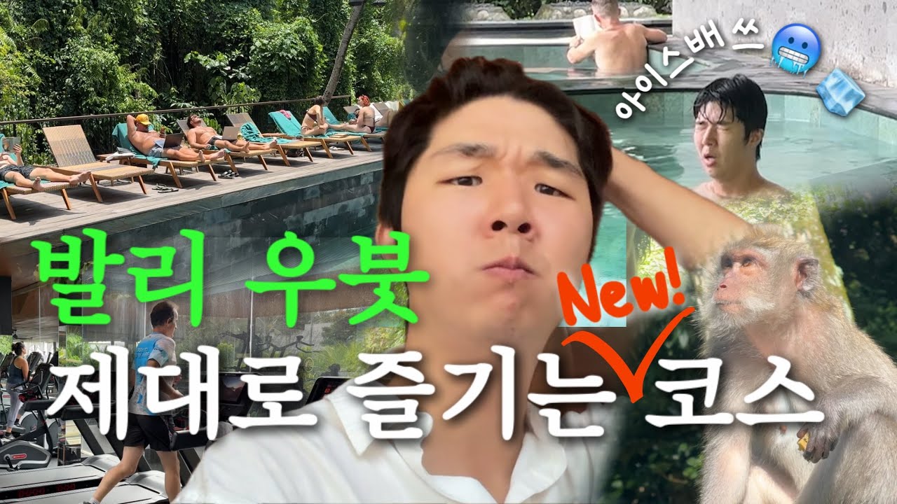 뻔한 우붓 여행 그만❎ 모르면 손해인 발리 우붓 힐링 여행코스