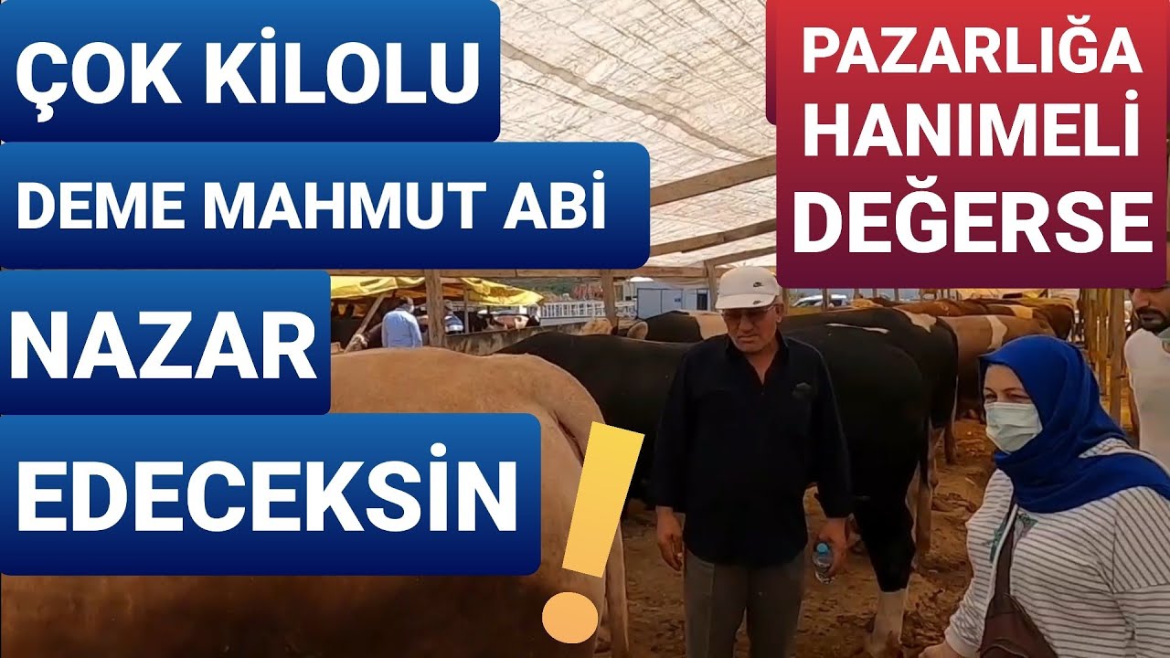Bu Çadırda Pazarlıklar Bir Başka | 2021 Kurban Fiyatları