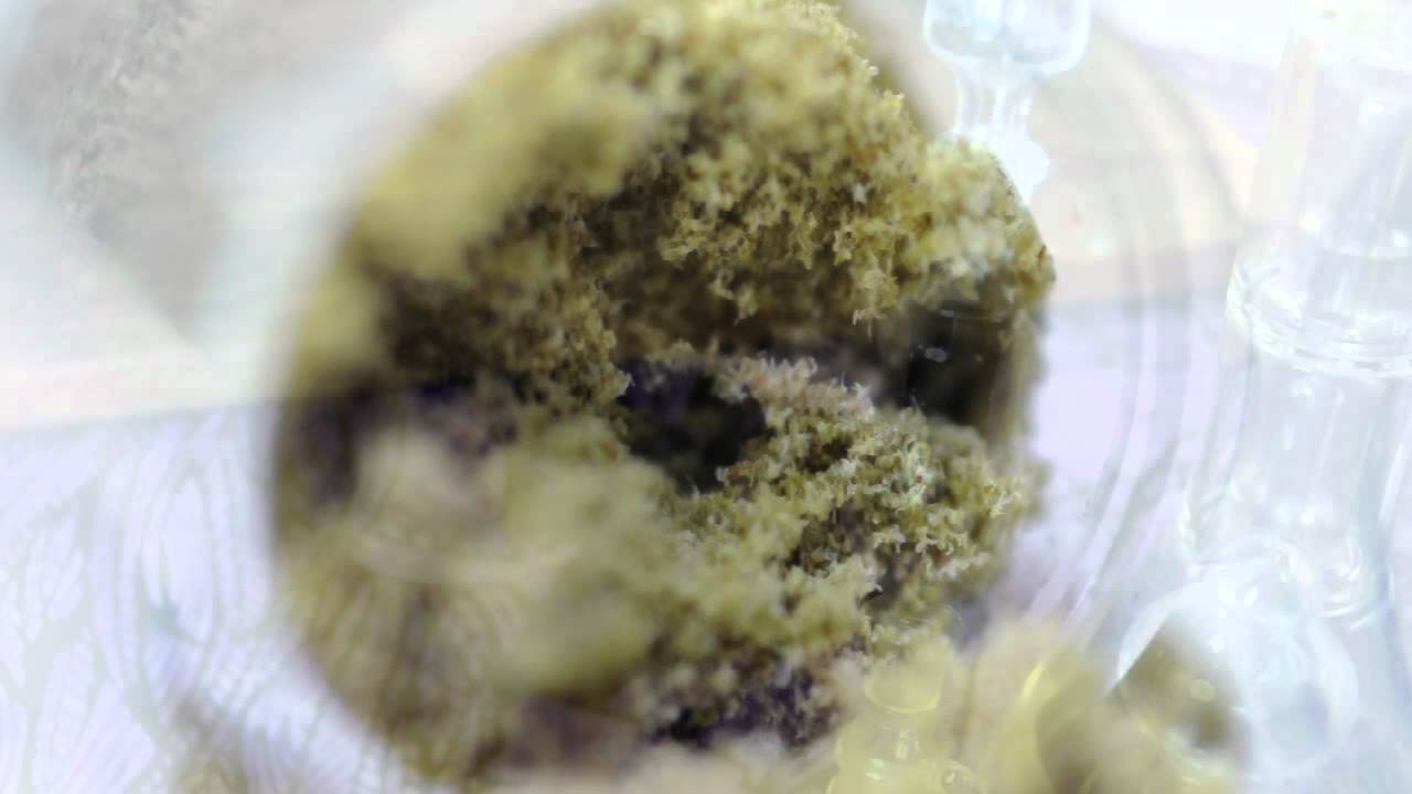 VaderVision SS:II - KIEF Cheapest Way to make the Best