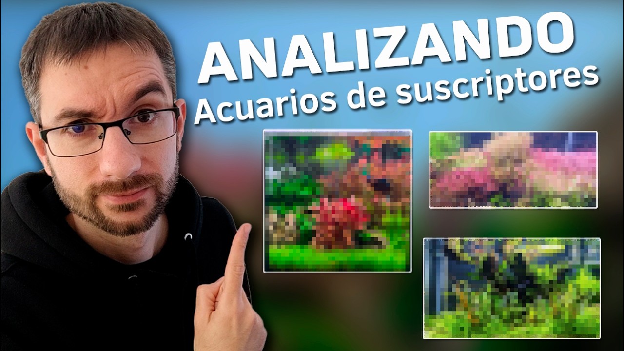 🕵️ Acuarios de Suscriptores Nº70: Casi Perfectos… Pero este Fallo es Crítico