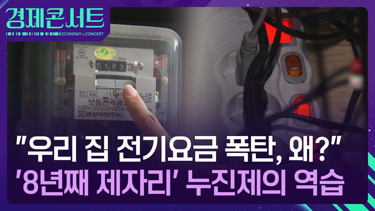 일상화된 3단계 누진&hellip;식구 수 많아 &lsquo;전기 과소비 딱지&rsquo; [경제콘서트] / KBS  2025.08.19.