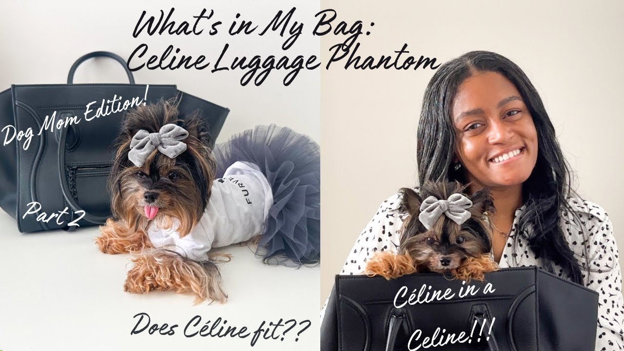 What’s In My Bag: Celine Luggage Phantom Handbag Review Part 2 | Dog Mom Bag | Céline + Me