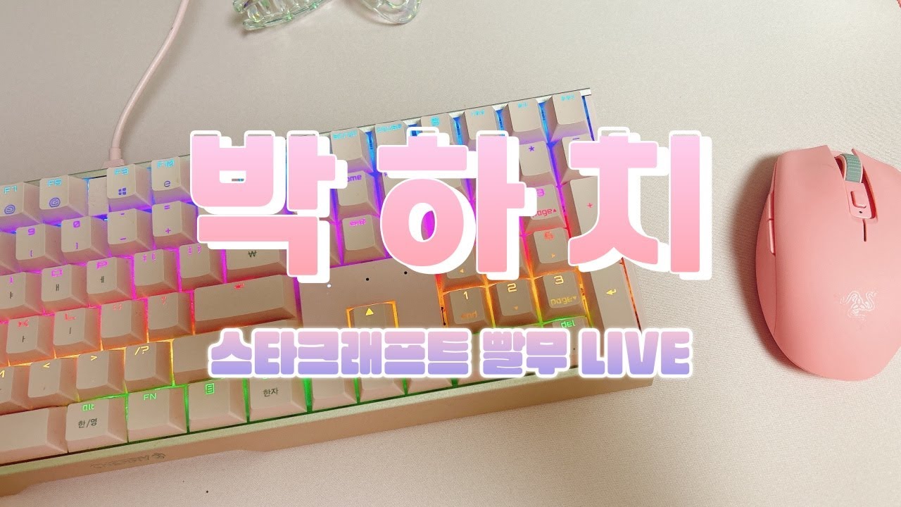 ♥ 2026.03.18 LIVE [박하치] 스타 빨무 StarCraft ♥