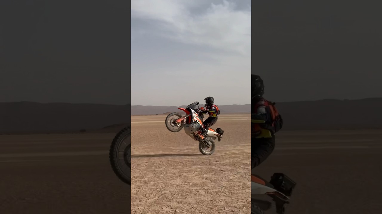 KTM 890 Adventure R wheelie - Zolati Rider