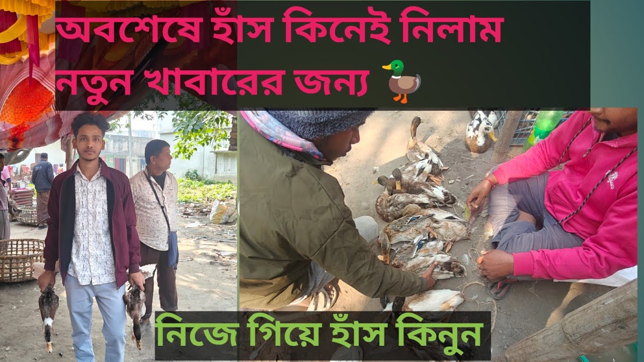 হাট থেকে নতুন হাঁস কিনলাম। শুরু হলো আমার হাঁসের খামার 🦆🔥