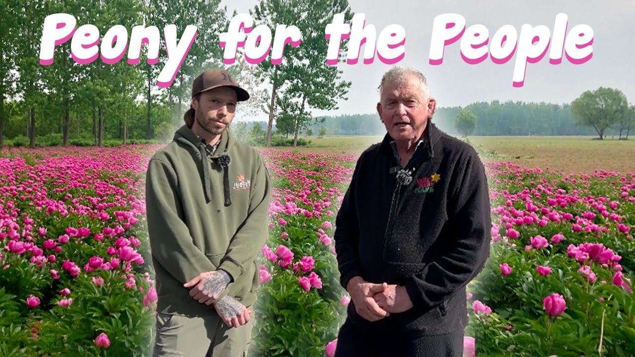 A Brand New Type of Peony is Here and We Have the Inside Scoop on it