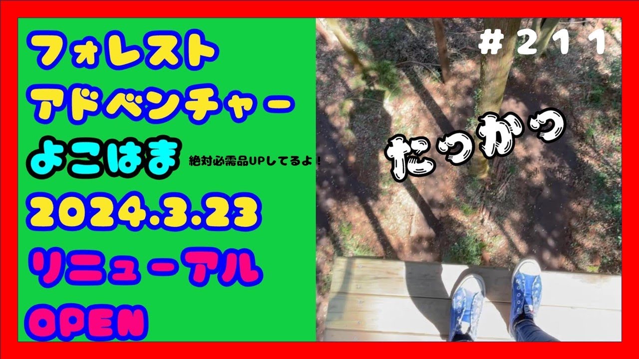 フォレストアドベンチャーYOKOHAMA【よこはま】めちゃくちゃ楽しかった〜‼️