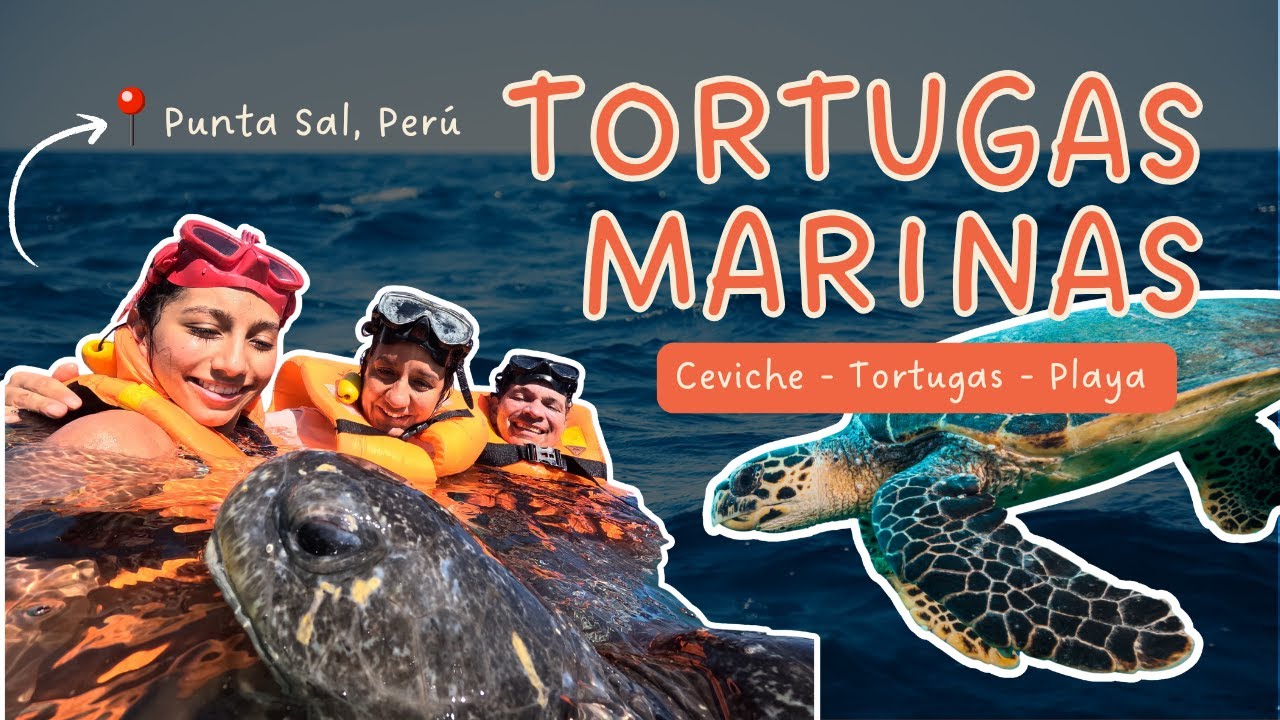 NADAR CON TORTUGAS una experiencia mágica | 🌊 Punta Sal la playa más hermosa del Perú