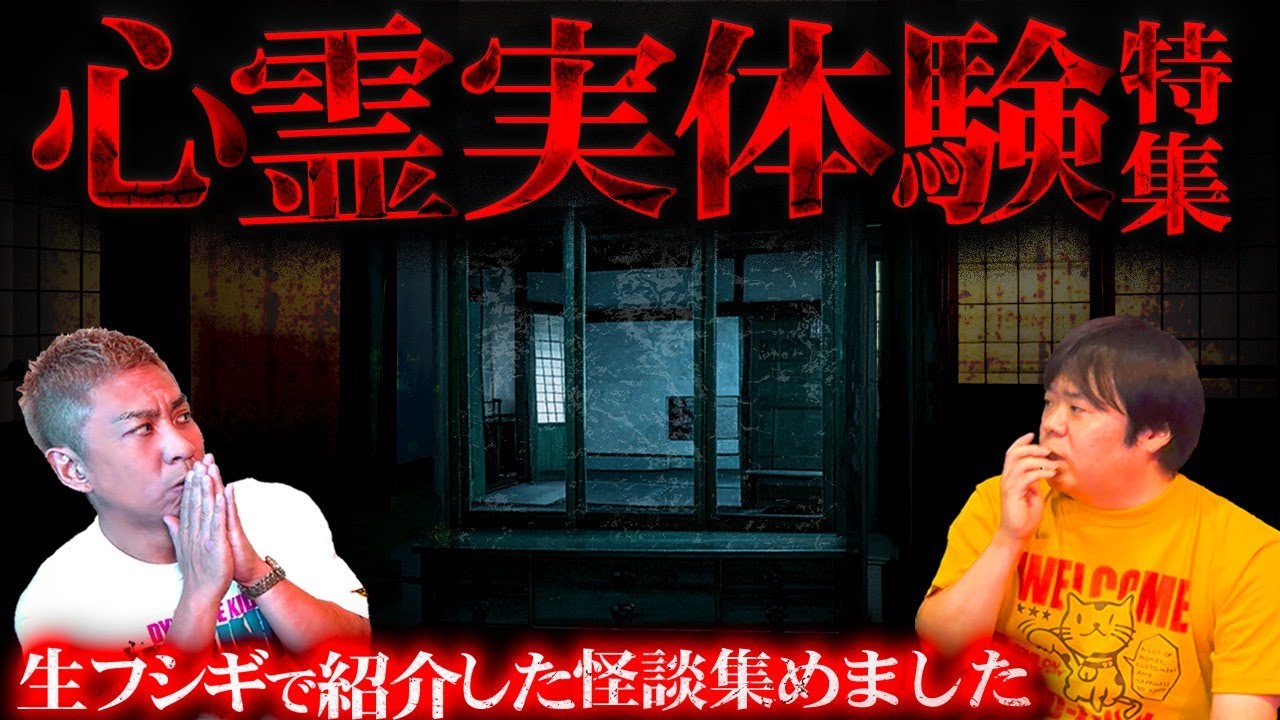 【全29話】視聴者から届いたリアルすぎる心霊実体験SP【ナナフシギ】【怖い話】【生フシギ総集編】