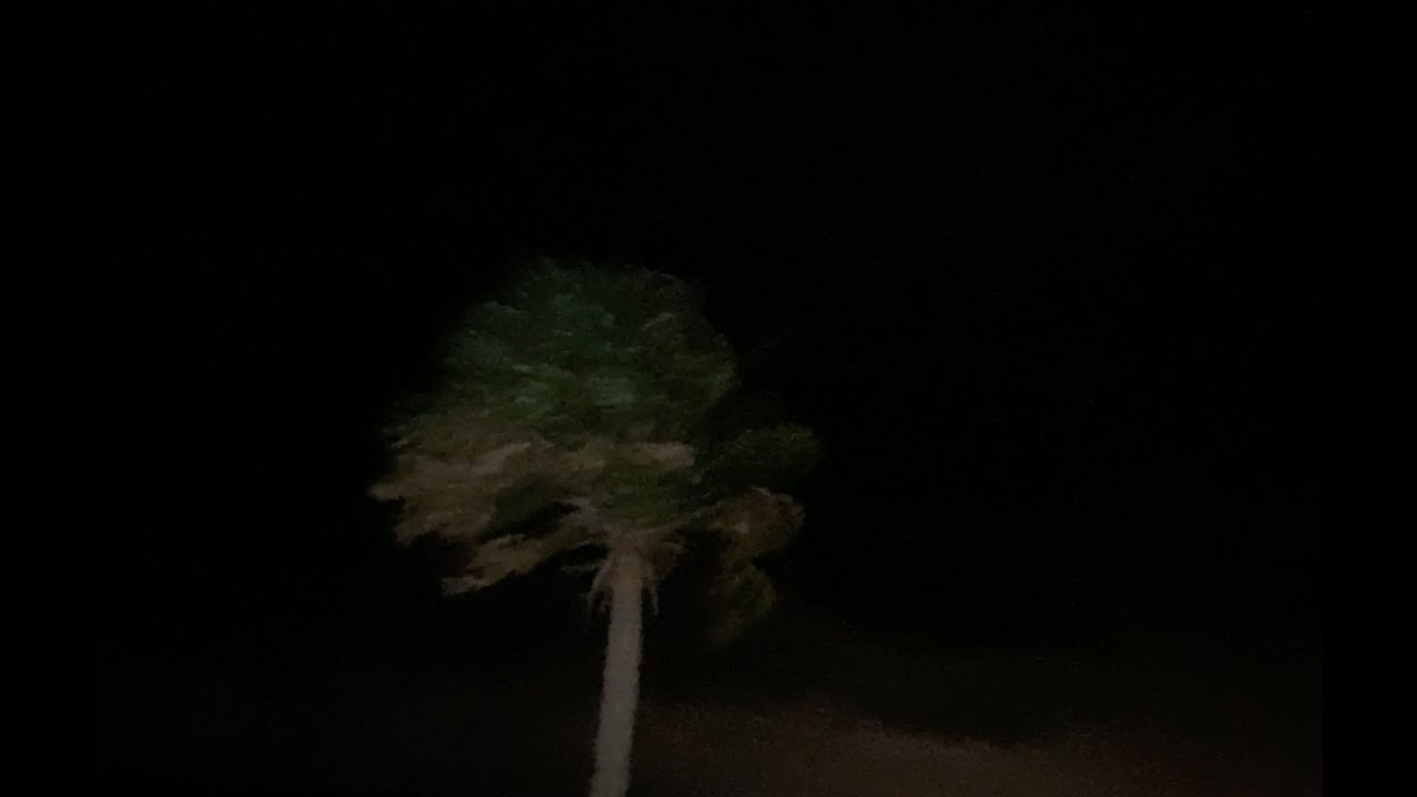 Moderate Winds and Chills Overnight in Charlotte County, Florida