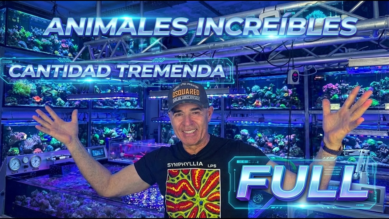 Así aclimato a los animales cuando llegan + Limpieza de bombas | Novedades de la semana!!