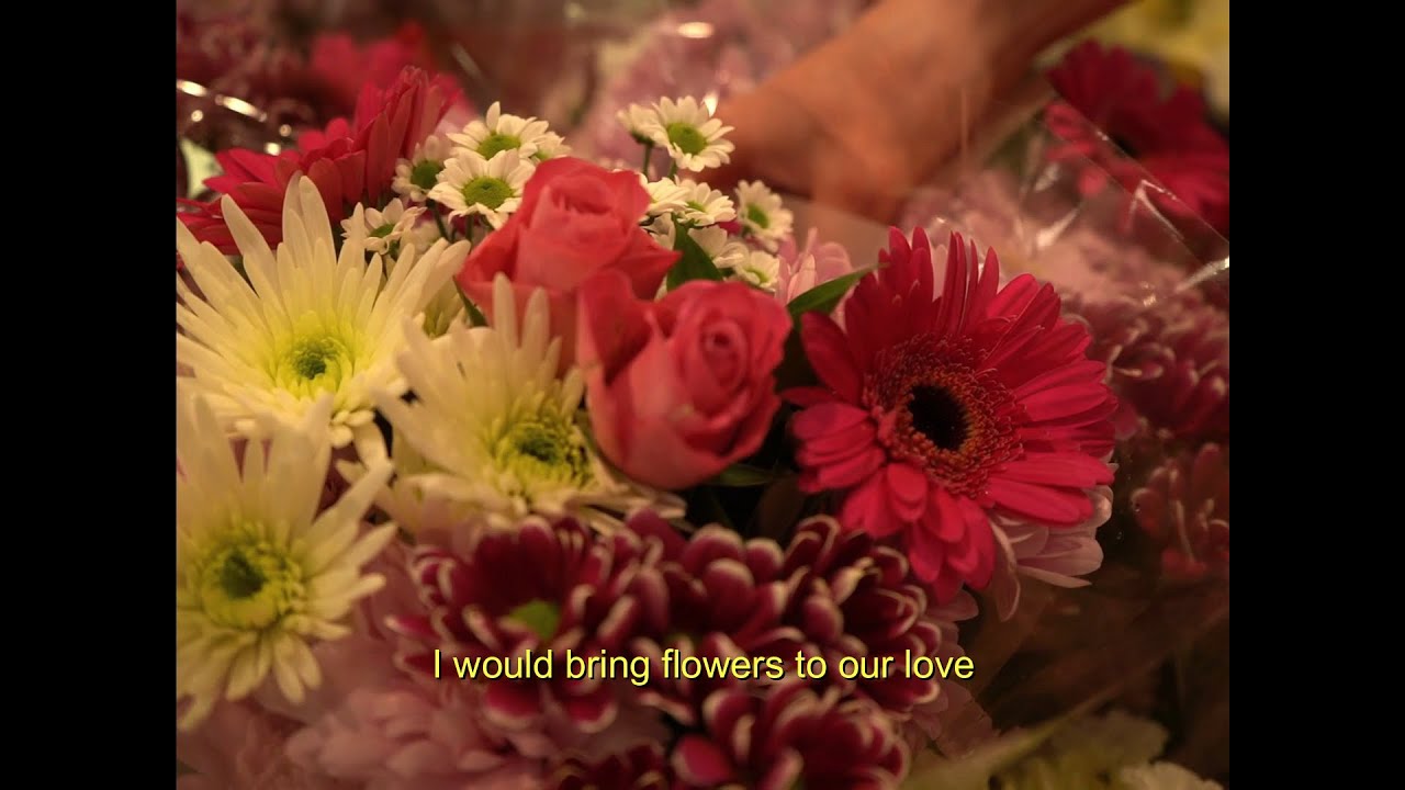 flores [videopoema] - proyecto 'un amor'