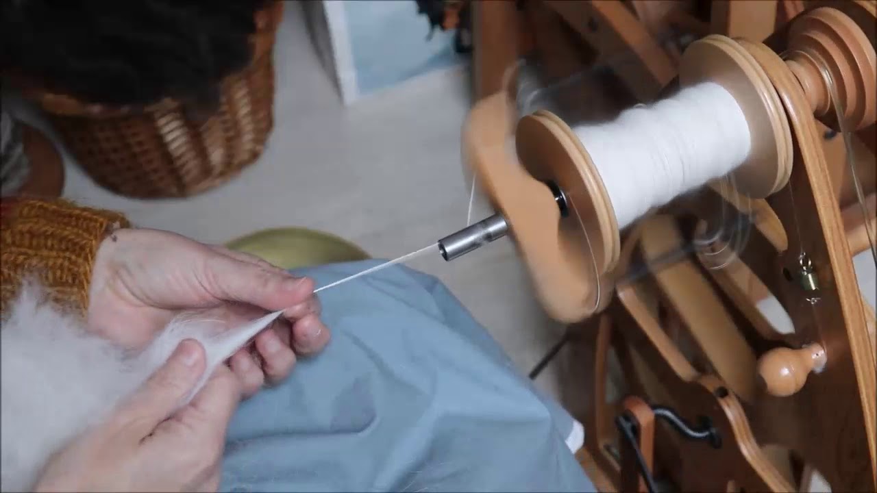 Filage de poils de berger suisse blanc