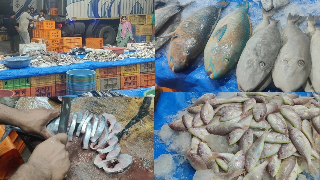 🐟🦐திருப்பூர்ல Night 11:30 மீன் வாங்க போலாமா?/Tiruppur thennampalayam fishmarket in Tamil 🦀