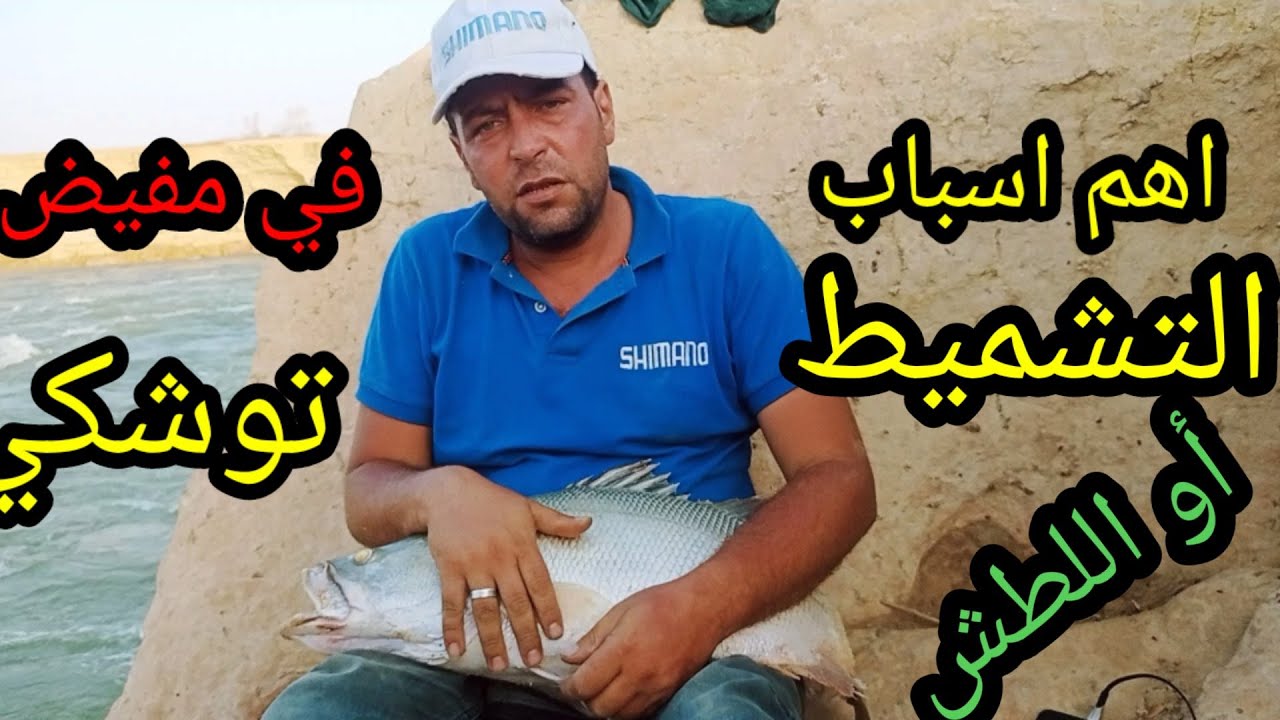 اهم اسباب التشميط في مفيض توشكي(ورده بحيره ناصر)