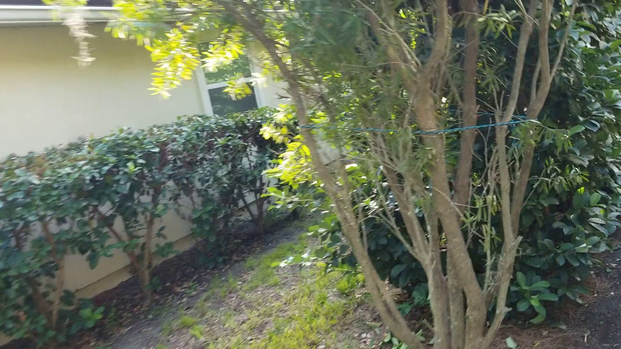 Before - Fall Landscaping Cleanup, Lighting install, and irrigation tune up