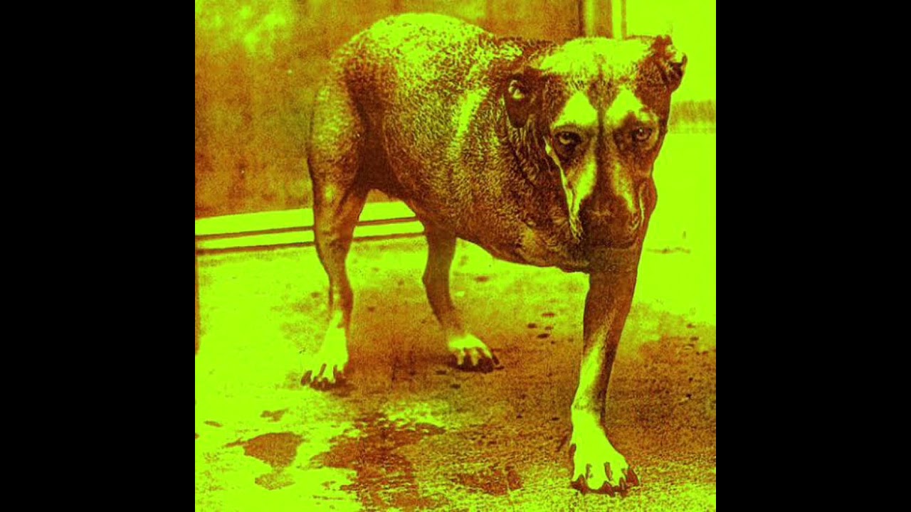 Sludge Factory - Alice In Chains Cover - DelicateValley