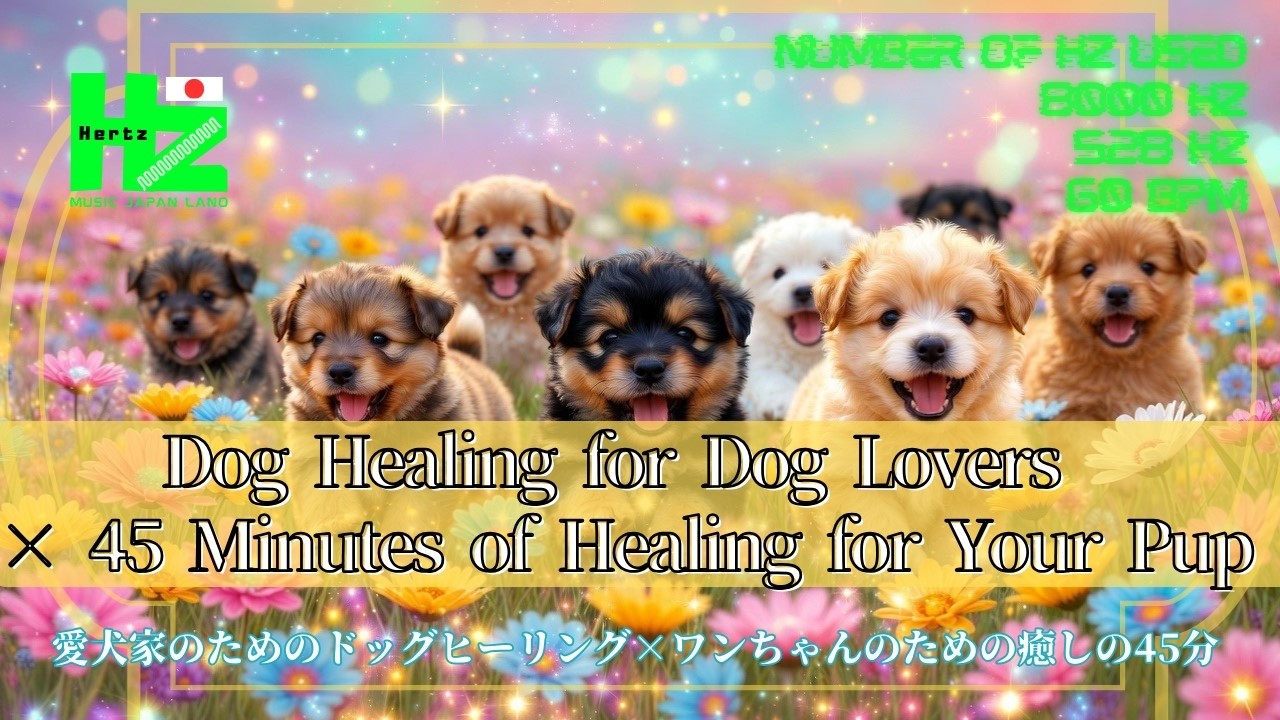 【Hz Music Japan Labo】 Dog Healing for Dog Lovers × 45 Minutes of Healing for Your Pup 8000Hz+528Hz