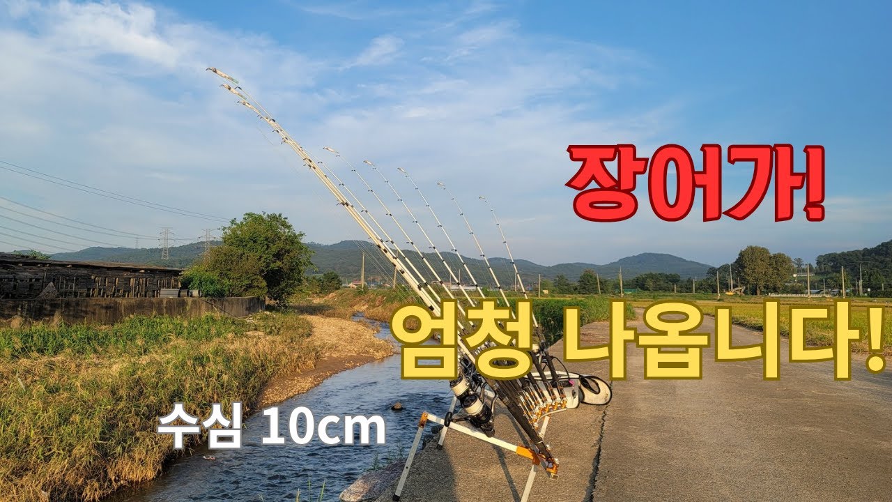 말도 안돼! 수심낮은 곳에서 이렇게 장어가 나온다고?!