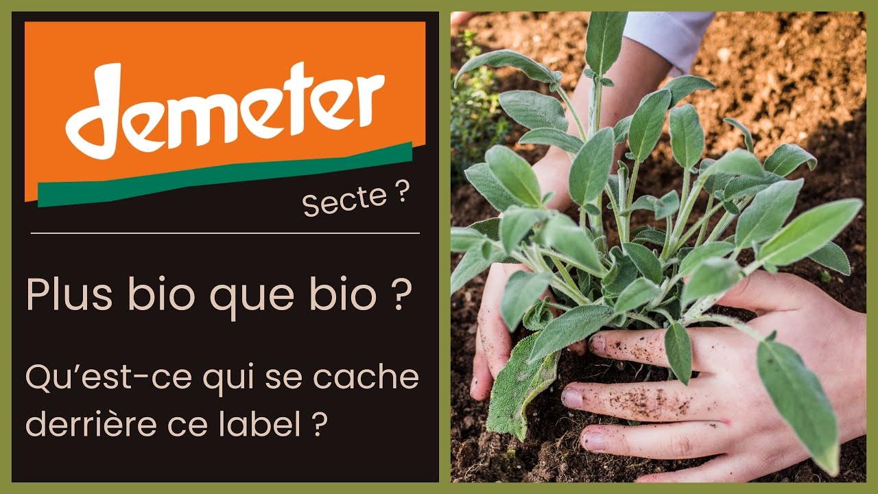 🥕 Label Demeter (biodynamie) : mieux que le bio conventionnel ? Anthroposophie, Rudolf Steiner 🥬