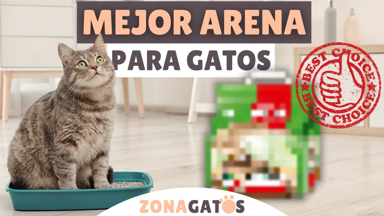 La MEJOR ARENA para GATOS ➡️ marca y tipo ✔️