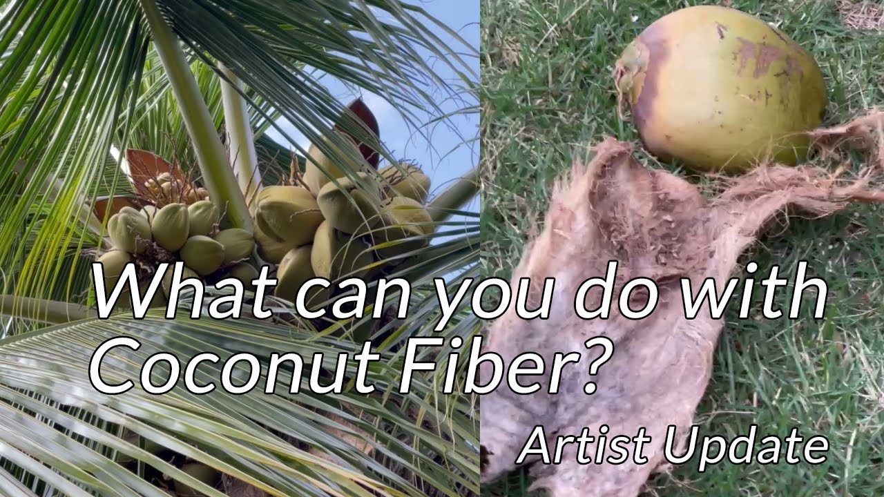 Fiber Art Process with Coconut Fiber #shorts