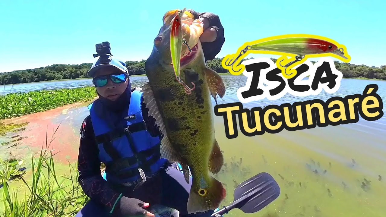 Melhor isca para tucunaré? Essa salvou a pescaria🎣
