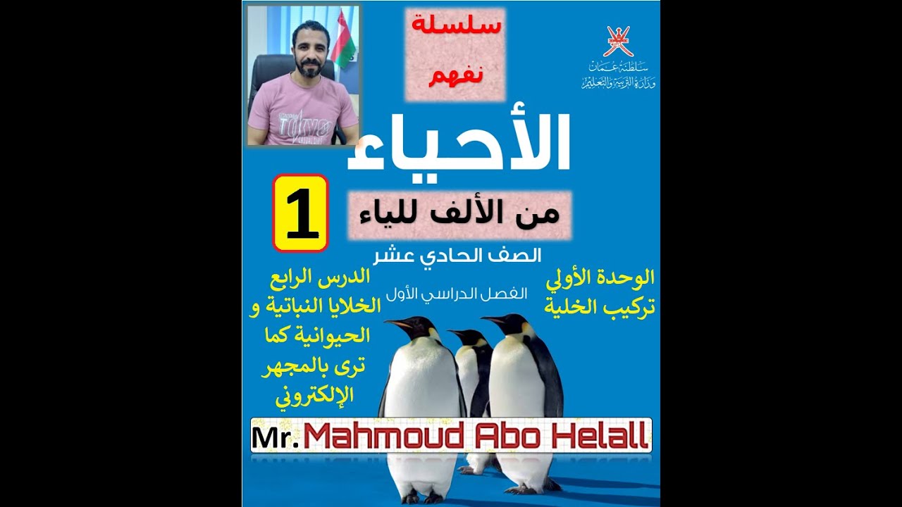 الخلايا النباتيه و الخلاياالحيوانية كما ترى بالمجهر الالكتروني الجزء 1