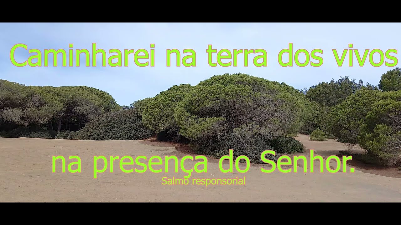 Caminharei na terra dos vivos, na presença do Senhor - Salmo DOMINGO II DA QUARESMA Ano B - M. Luís