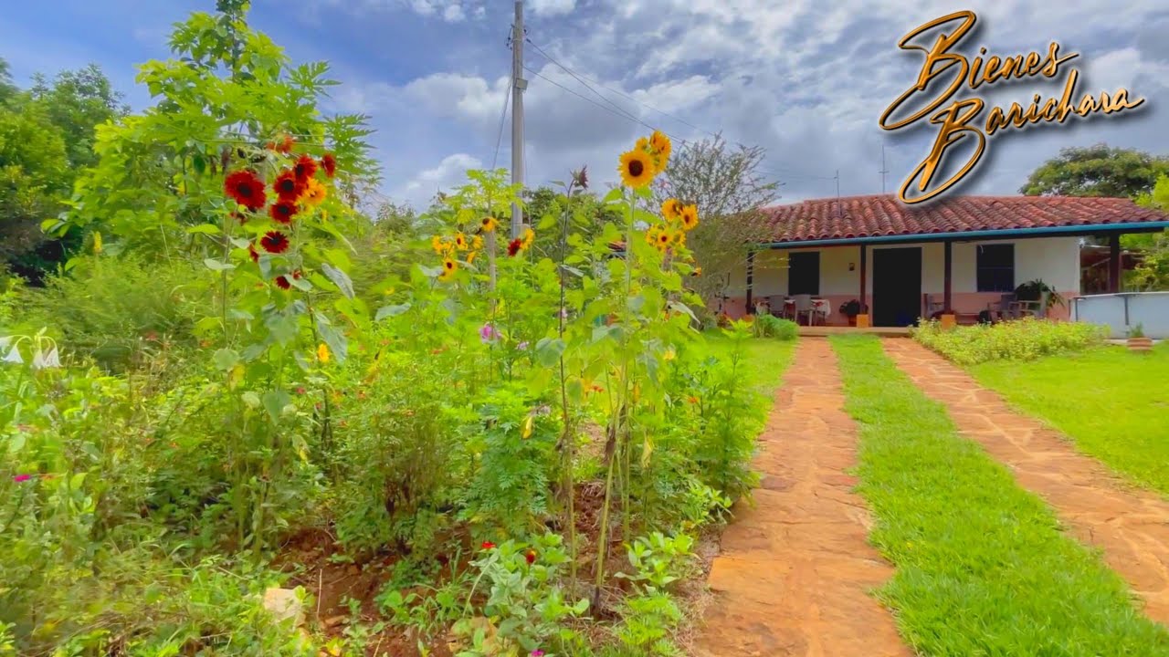 Finca en venta en Barichara | Oportunidad de inversión con árboles frutales | Bienes Barichara