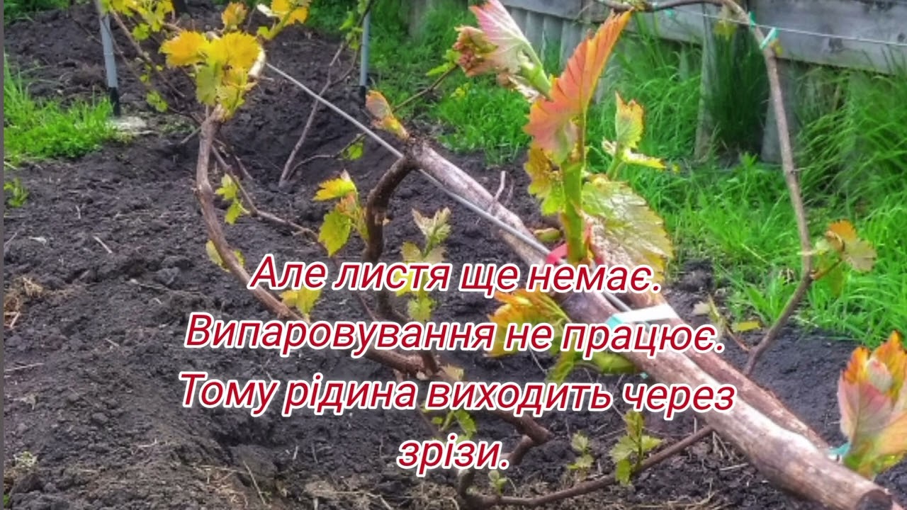 2 марта 2026 г.