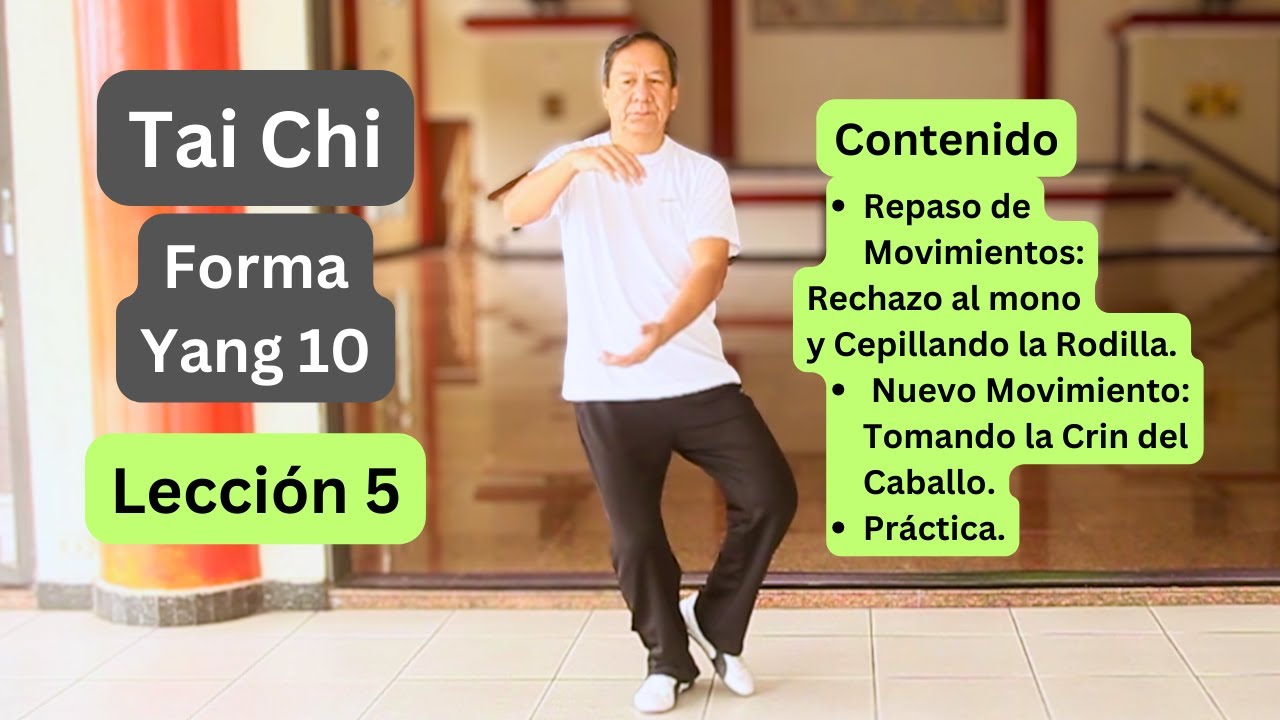 GRATIS Tai Chi. Lección 5. Forma Yang 10 movimientos. Movimiento #4 Tomando la Crin del Caballo.