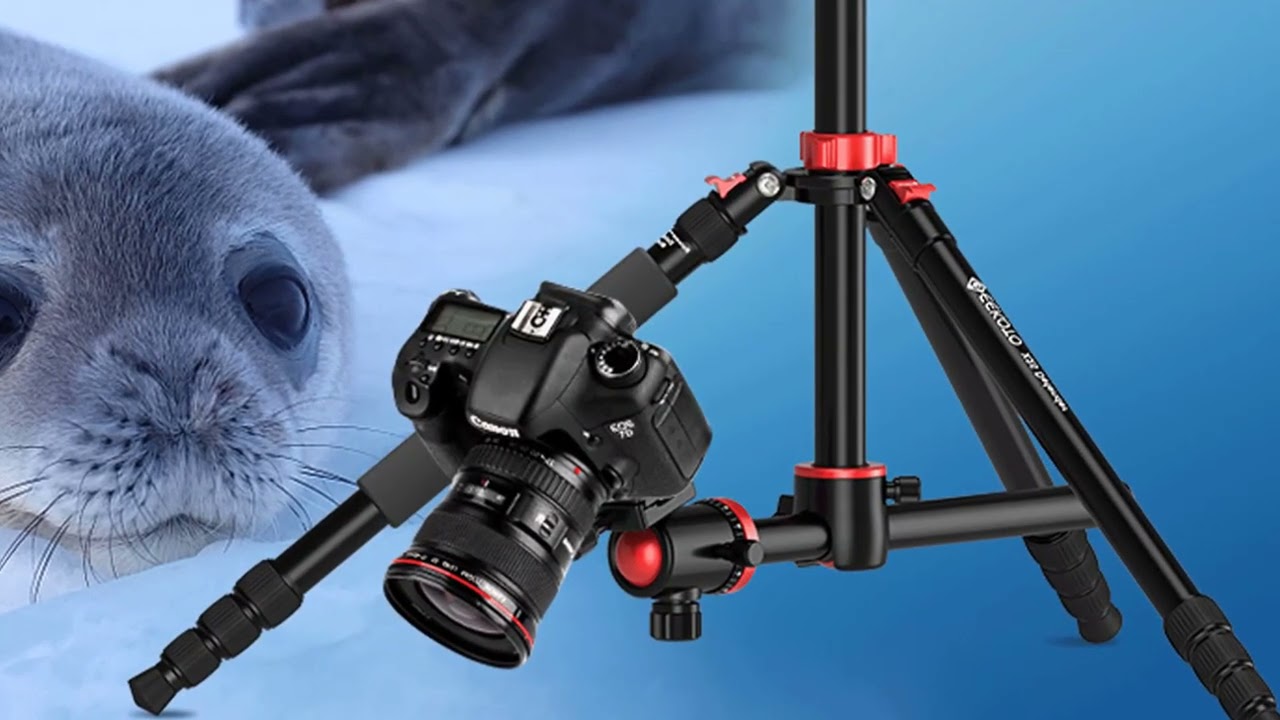 GEEKOTO Tripod, Camera Tripod Review in 2022