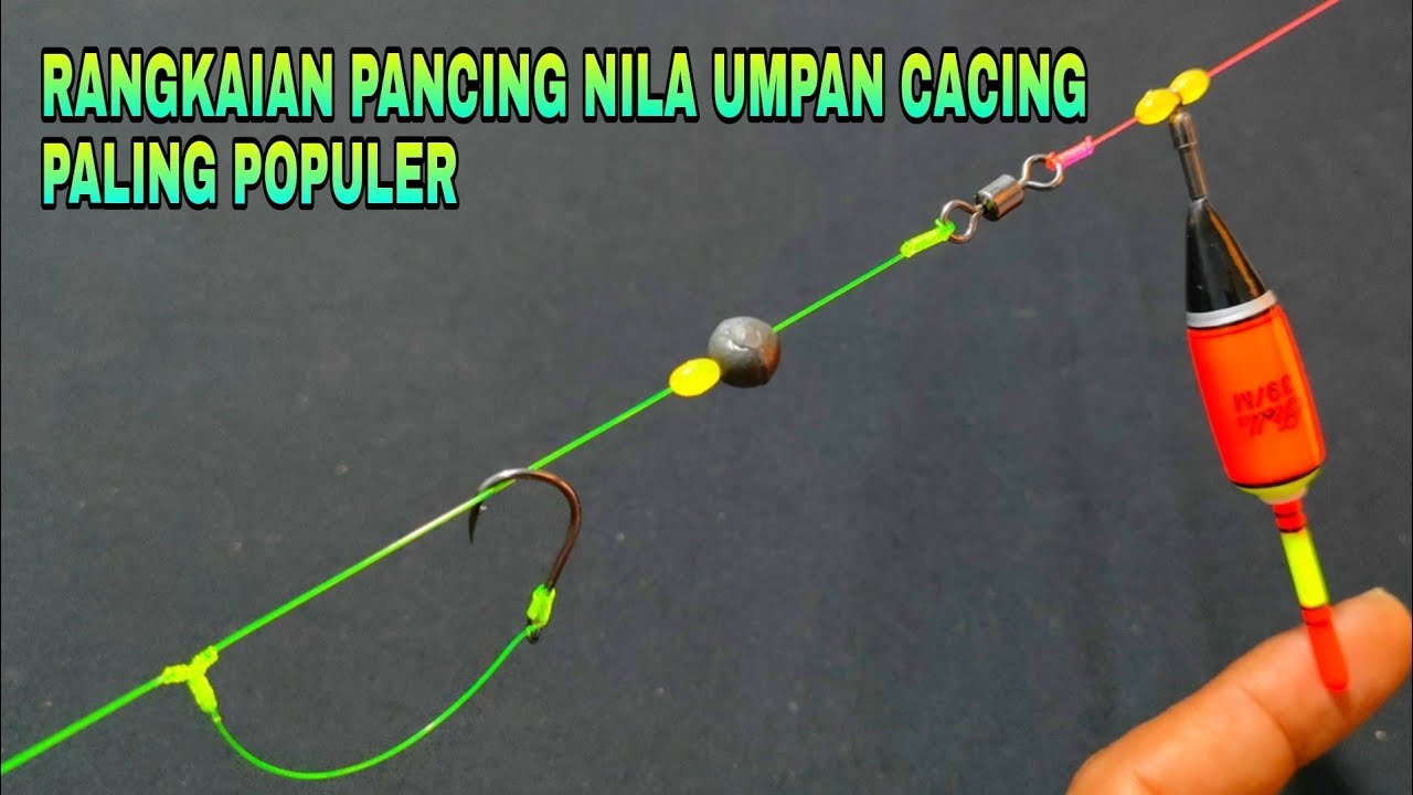 Rangkaian pancing nila umpan cacing 2 mata kail paling ampuh