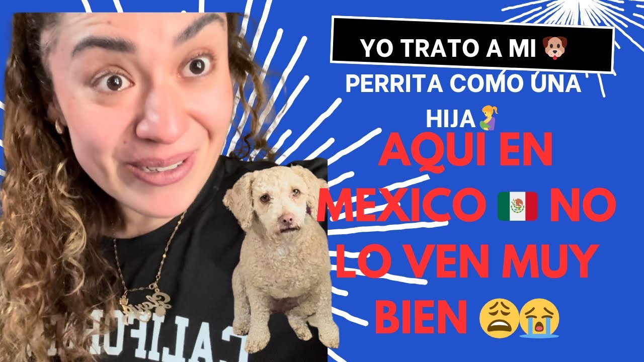 YO TRATO A MI PERRITA COMO A UNA HIJA 👧 😍EN MÉXICO 🇲🇽NO LO VEN MUY BIEN// MI RUTINA COMO MAMÁ 🤱💐