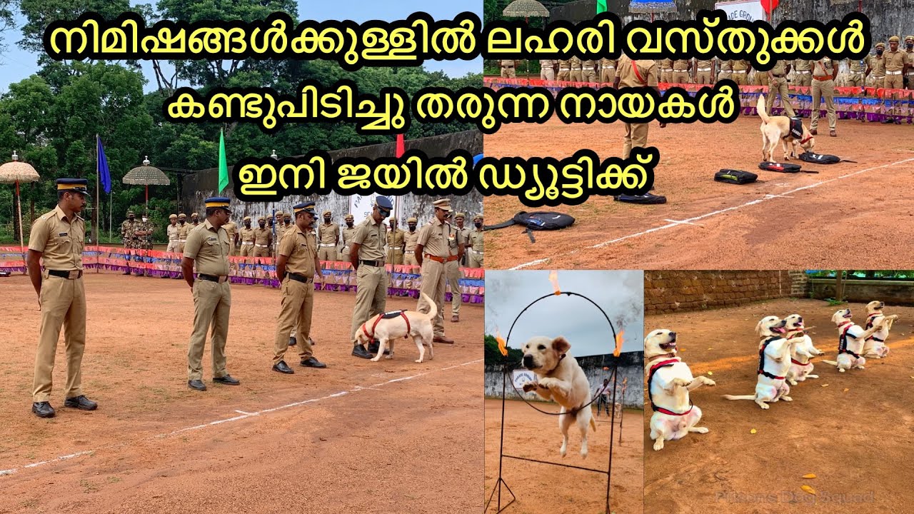 kerala prisons k9 squad * Passing Out Parade & Demonstration 2022