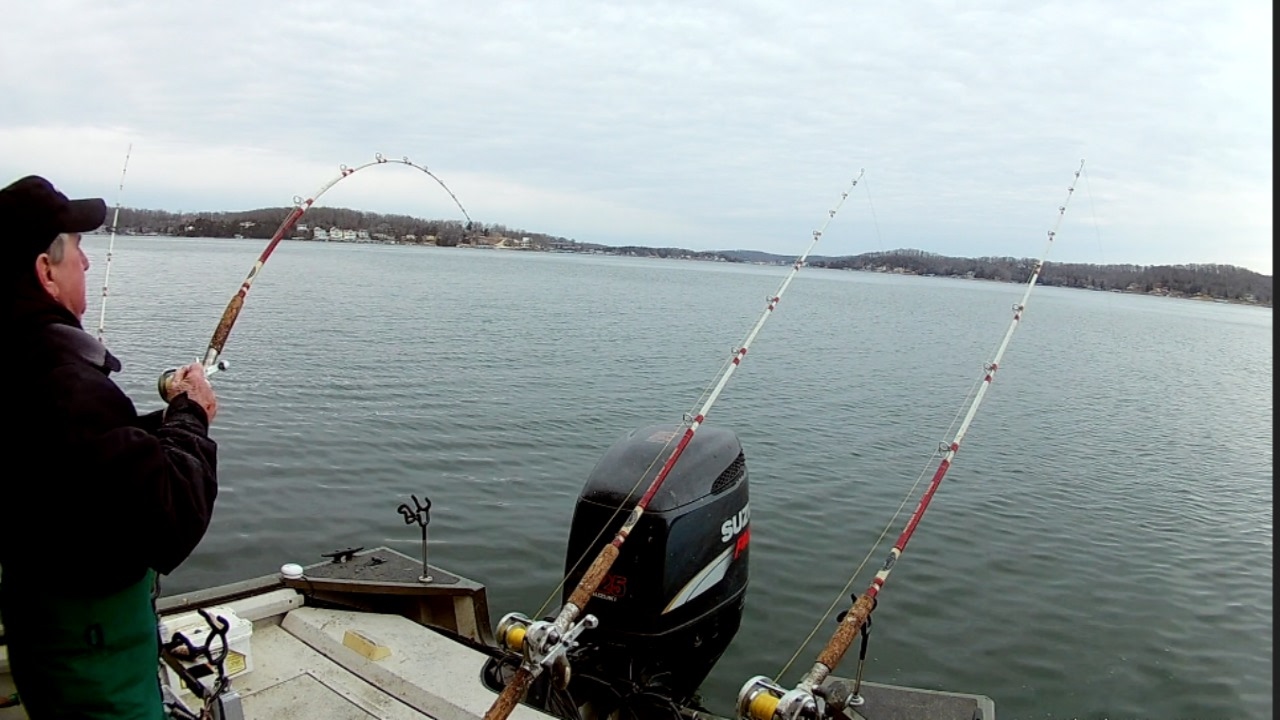 Catfishing on Lake of the Ozarks #9 (2-4-17)
