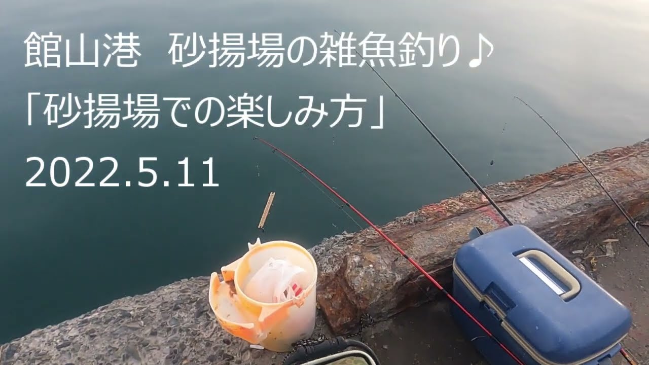 館山港　砂あげ場での雑魚釣りと楽しみ方　2022.5.11　ｂｙ館山雑魚釣り