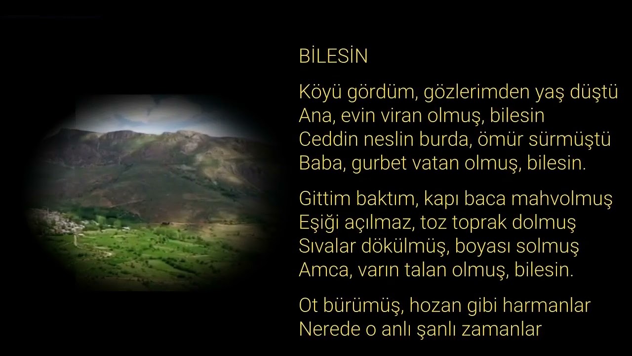 🎼BİLESİN 🎵