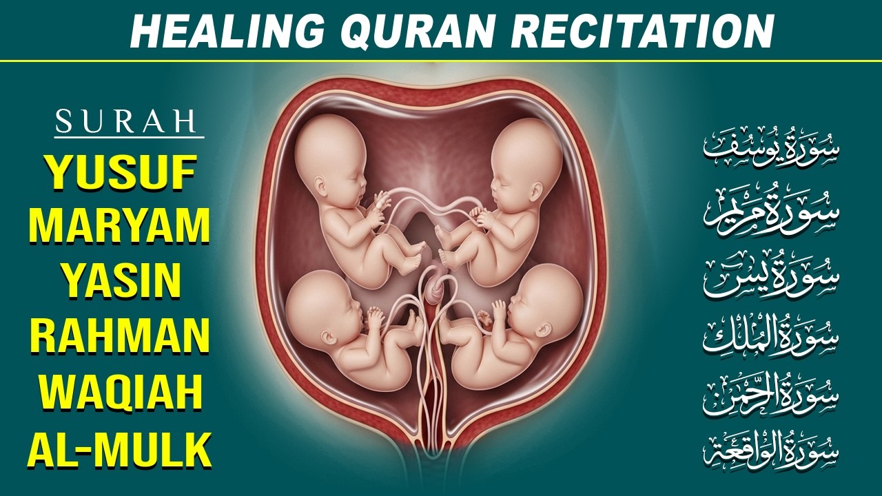 Pregnant Mother Must Listen Every day | Surah Maryam | Yusuf | Yasin |  | To keep your baby healthy