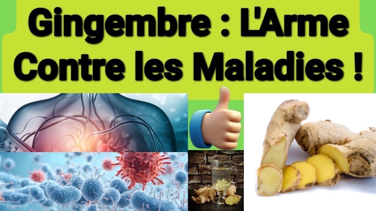 Les 12 Bienfaits Cach&eacute;s du Gingembre : Un Tr&eacute;sor de la Nature &agrave; Ne Pas Ignorer !