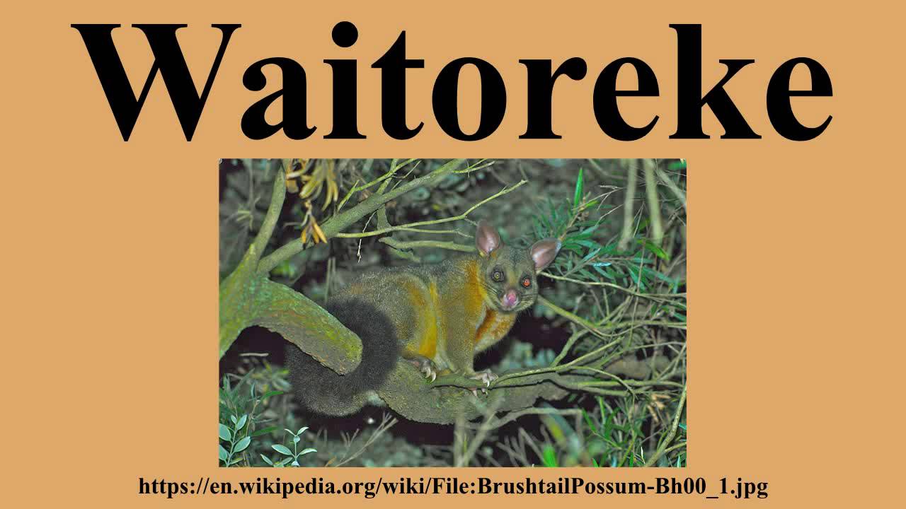 Waitoreke